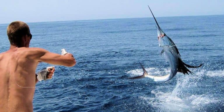 Offshore fight